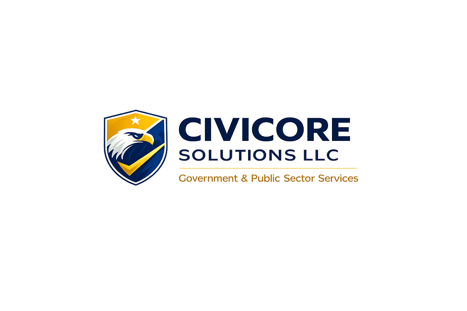 Civicore Solutions LLC — Government & Public Sector Services